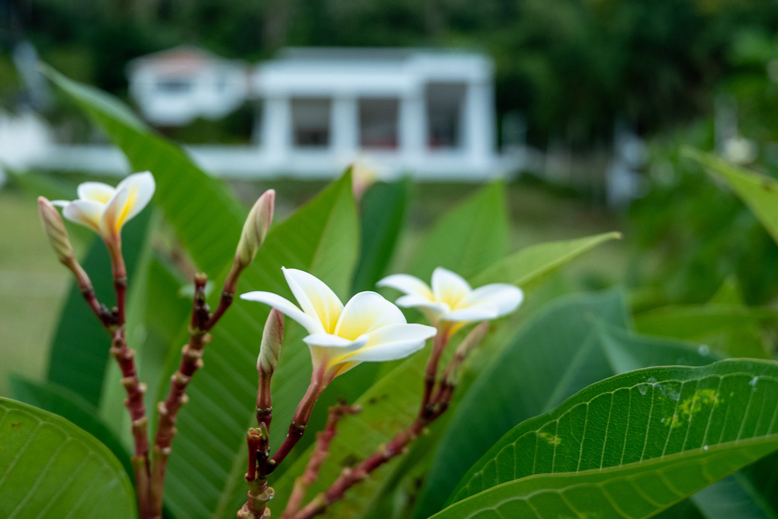 Santisook-Luxury-Sea-View-Villas-95