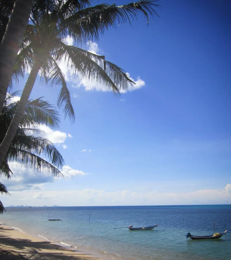 5305 Premier Luxury Villas In Koh Samui Bang Por
